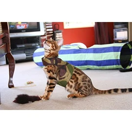 Mynwood Cat Jacket/Harness Green Combat Kitten up to 8month