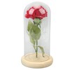 Rose in Glass Dome Lucky Beautiful Symbolism Romantic Enchanted Rose