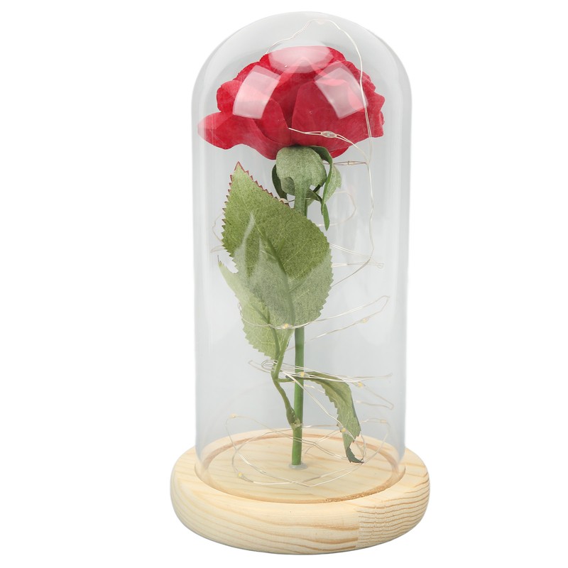 Rose in Glass Dome Lucky Beautiful Symbolism Romantic Enchanted Rose