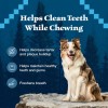 BLUE Wilderness Trail Treats Large Dental Chews for Dogs 27oz