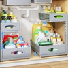 Under Sink Organizer, 2 Pack 2 Tier Pull Out Under