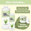 Aloe Vera Fertilizer for All Aloe and Succulent Plants, Liquid