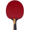 Butterfly 85037 Timo Boll Carbon Ready Racket