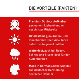 12 x Aufkleber Alarmgesichert (Klein - 7,4 x 5,2cm) - Schutz vor Einbruch in Auto und Wohnmobil - Aussenklebend - Alarm Sticker für mehr Sicherheit - Alarmanlage Aufkleber für außen - Geschlitzt