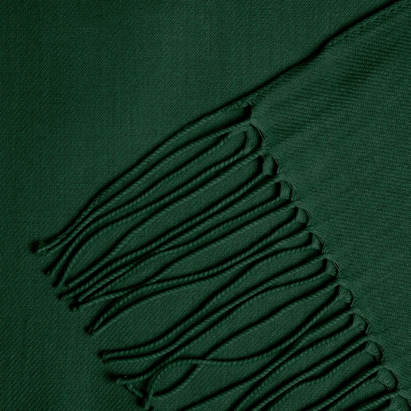 Pashmina Scarf Stole Shoulder Scarf for Women – Elegant &