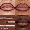 Erinde Delineador de Labios Mate, a Prueba de Manchas, #01