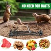 8 Pack Mole Gopher Traps for Outdoor Lawn and Garden,