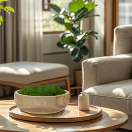 NAHARO Moss Wood Bowl, Natural Round Decorative Dough Bowl, Artificial Moss Centerpiece for Wedding Table, Home Decoration, Living Room, Office, No Maintenance