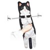 PAT JUUMG Funny Cat Hand Towels for Bathroom Kitchen Decor