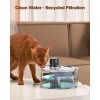 VKIMISS Cat Water Fountain Filters: Pet Water Dispenser Filter Replacement