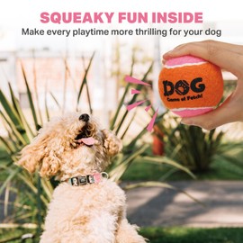 AMA SPORT Squeaky Tennis Balls for Dogs 2.5" Small Medium Dog Tennis Balls for Throwing and Fetching Dog Toys for Training, Exercise, High Bouncing 4 Pack (Orange Pink)