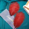 Soarer Red Ostrich Feathers for Vase 15 pcs 12-14inch Craft