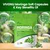 VivoNu Moringa Softgels | Energy, Immunity & Joint Support |