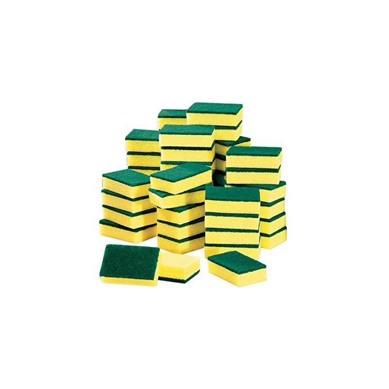 50 Pc Sponge Set