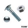 TERF® M8 X 160mm Cup Square Carriage Bolt and Nut