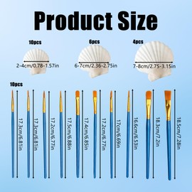 YceLon Pack of 20 Shells for Painting, Natural Shells Large for DIY Crafts, Includes 10 Brushes, Ideal for Maritime Decoration and Creative Projects (2-8 cm)