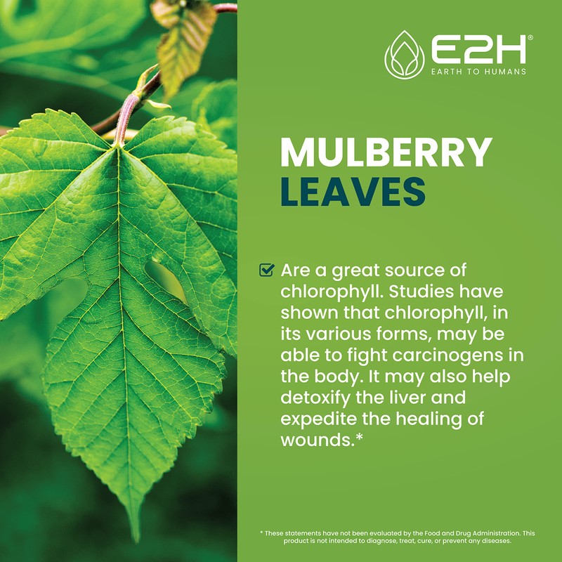 E2H Chlorophyll Liquid Drops - All-Natural Flavored Energy Booster, Immune