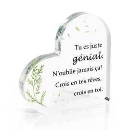 Graduation Gifts for Her Him Teacher Gifts, Thank You Gifts Retirement Gift for Woman Man Best Friend Birthday Gifts Employee Appreciation Gifts Acrylic Ornament Inspirational Gifts acrylic gifts