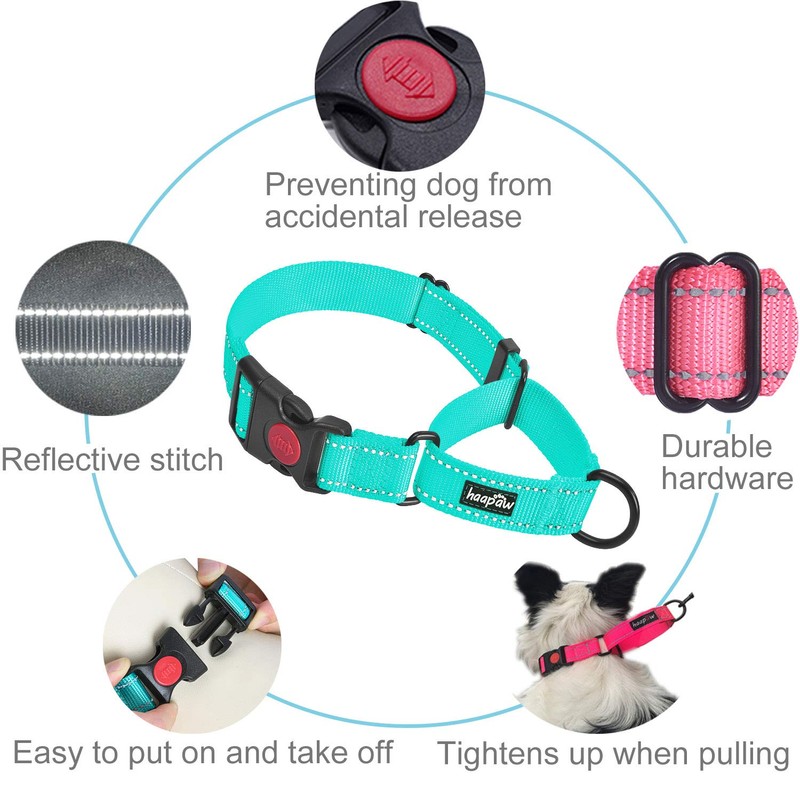 haapaw 2 Packs Martingale Dog Collar with Quick Release Buckle