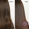 dpHUE Gloss+, Caoba
