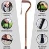 DMI Walking Cane and Walking Stick for Adult Men and
