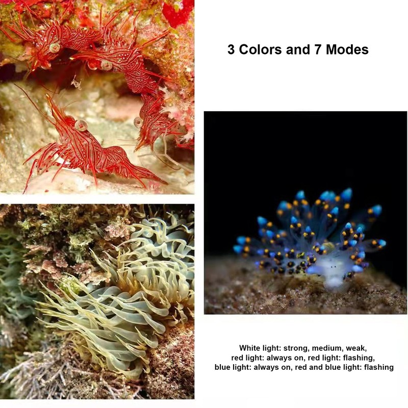 COB LED Diving Flashlight 100m Waterproof Underwater Torch with 3