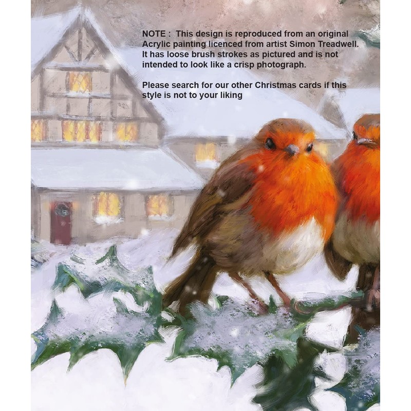 Special Friend Christmas Card - Two Robins - Medium Sized