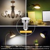 E12 LED Candelabra Light Bulbs 5W, Set of 6 Color