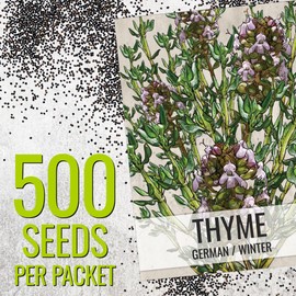 Seed Needs Thyme Seeds for Planting - Non-GMO Heirloom & Untreated Perennial Herb Seed to Plant a Culinary Kitchen Garden Indoors or Outdoors (5 Packs)