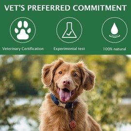 Gotas Oftálmicas para Perros Y Gatos De 60 Ml. Alivia El Picor Y La Irritación Ocular, La Conjuntivitis Y Las Alergias. Fórmula Segura Y Suave para Todos Los Animales.