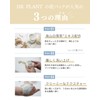 DR PLANT White Snow Tea Pure Lifting Mud Pack 4.2