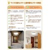 POOPEE LED Sensor Light, Small, with Human Detection Sensor, LED