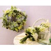Aska A-42476-063G asca Xylographica Gray Green Total Length 13.8 inches