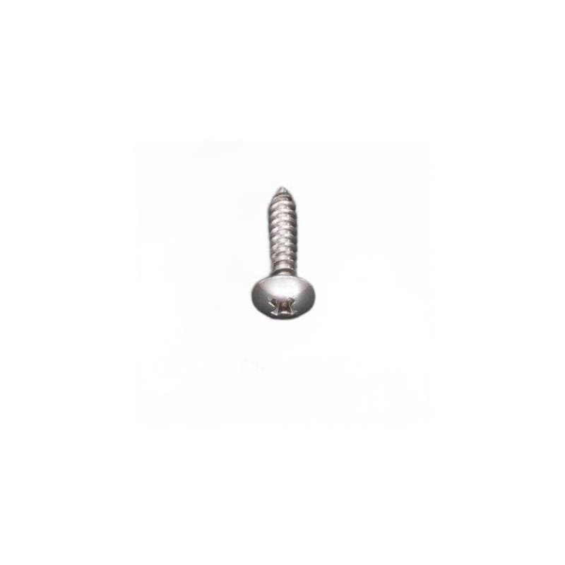 0.2 x 0.8 inch (5 x 20 mm) Truss Head