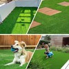 Naturei Grass Pad for Dogs, 60" x 30" Artificial Turf