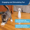 PetSafe Bolt Laser Light Cat Toy With 2 Automatic Play
