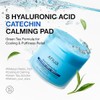 Anua 8 Hyaluronic Acid Catechin Calming Pad, Pore Care &