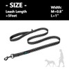 PHOEPET 5 Feet Heavy Duty Dog Leash - Reflective -