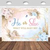 Tcoyodw Boho Gender Reveal Backdrop 7x5ft He or She Pampas