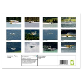 Seaplanes - Flying Exotics (Monthly Wall Calendar 2025 11.7" x 16.5" (open)), CALVENDO 14 Month Calendar