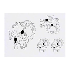 4 x 'Demon Skull' Temporary Tattoos - Water Resistant, Skin-Safe, Non-Toxic Transfers, Mixed Sizes (TO00079970)