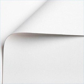 Fashion Fabrics LLC White 3PLY Blackout Drapery Lining Privacy Fabric - Sold by The Yard - 56"