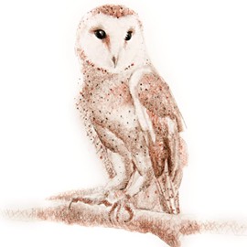 Koh-I-Noor Sketch Paper Pad with in & Out Pages, 50 lb. / 74 GSM, 5.5" x 8.5", Side Wire Bound, 100 White Sheets/Pad, 1 Each