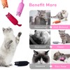 Legendog 5Pcs Bite Resistant Catnip Toy for Cats,Catnip Filled Cartoon