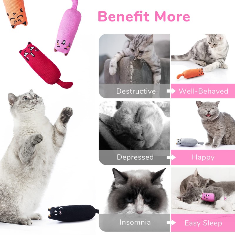 Legendog 5Pcs Bite Resistant Catnip Toy for Cats,Catnip Filled Cartoon