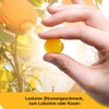 Vitamin D-Loges 5. 600 I. E. Chewable Tablets, Pack of