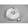 Cambridge Silversmiths Gaze Mirror 20 Piece Flatware Set, Service for