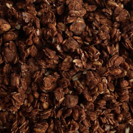 Grandy Organics Dark Chocolate Sea Salt Granola, 10 Pound Bulk Bag, Certified Organic, Gluten Free, Non-GMO, Kosher, Plant Based Protein Granola