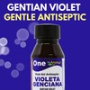 Arymar Gentian Violet 1% USP Solution - First Aid for