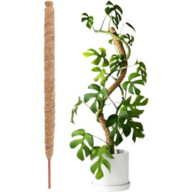 Poster De Musgo para Plantas Trepadoras, Poste De Musgo para Monstera, Tutor para Plantas Trepadoras Monstera, Palos De Musgos Flexible para Macetas, Terraza, Jardín, Patio, Trasero